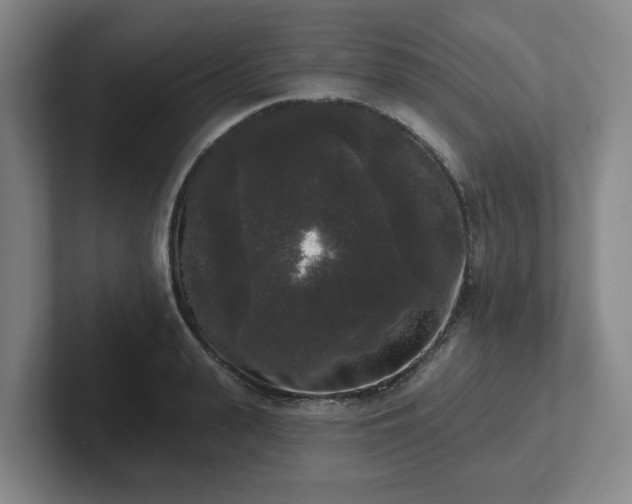 X0000102000943200807251243