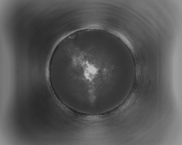 X0000102000944200807251243