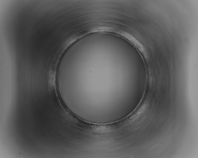 X0000102000945200807251243