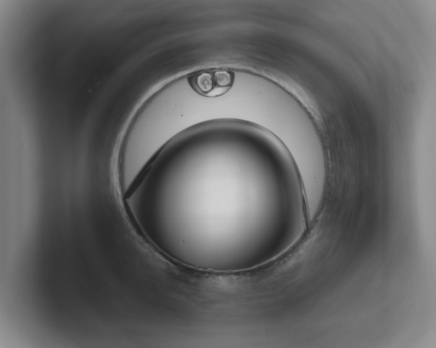 X0000102000950200807251243