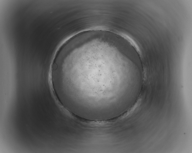 X0000102000952200807251243