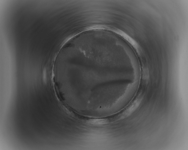 X0000102000953200807251243