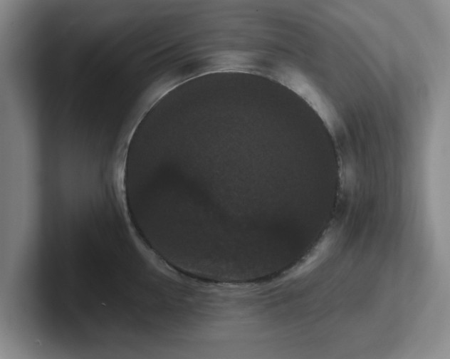 X0000102000954200807251243