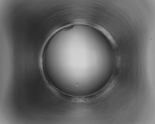 X0000102000955200807251243