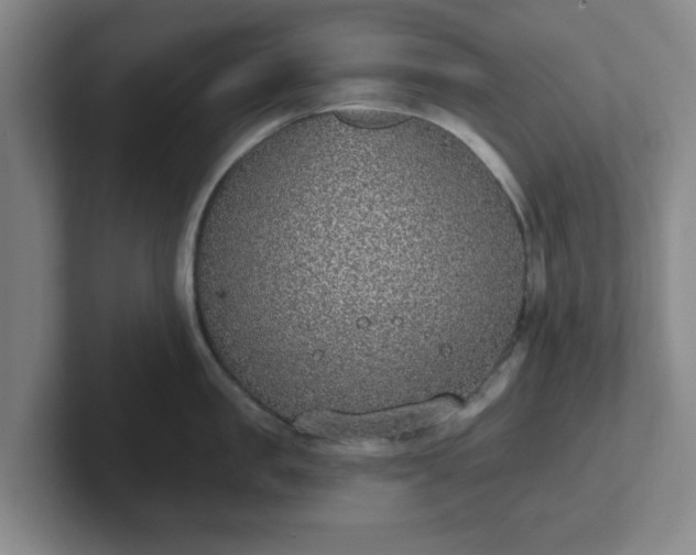 X0000102000957200807251243