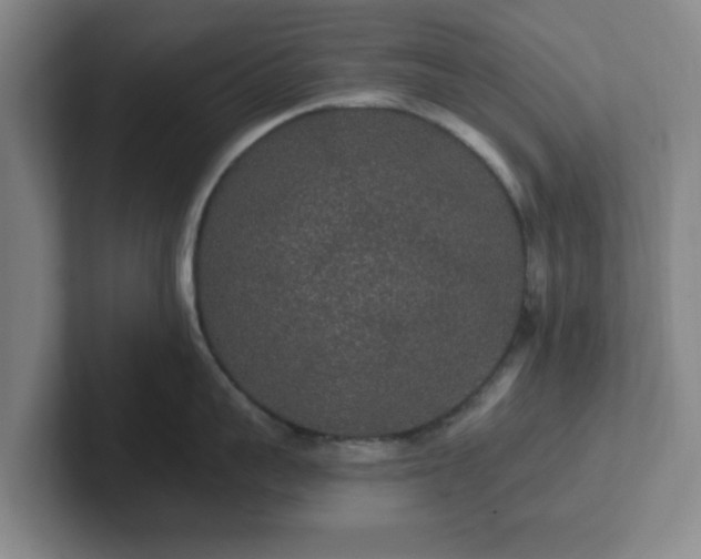 X0000102000959200807251243