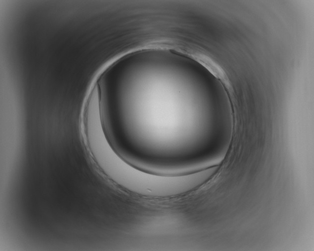 X0000102000960200807251243