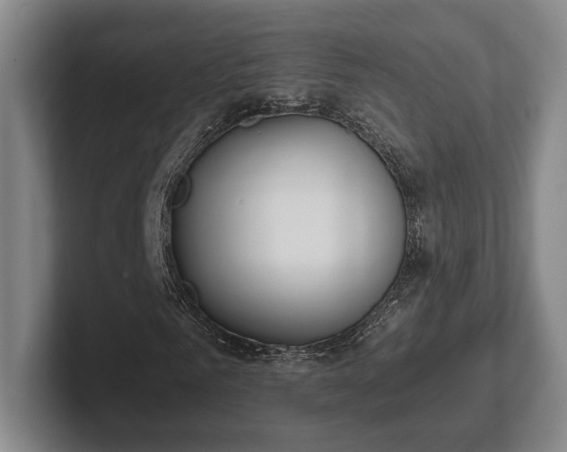 X0000102000961200807251243