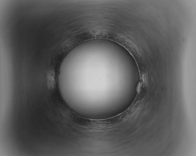 X0000102000963200807251243