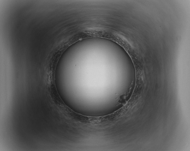 X0000102000965200807251243