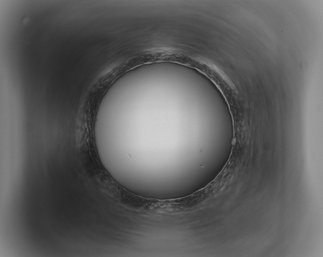 X0000102000967200807251243