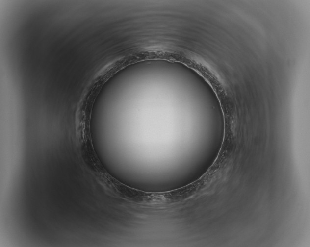 X0000102000968200807251243