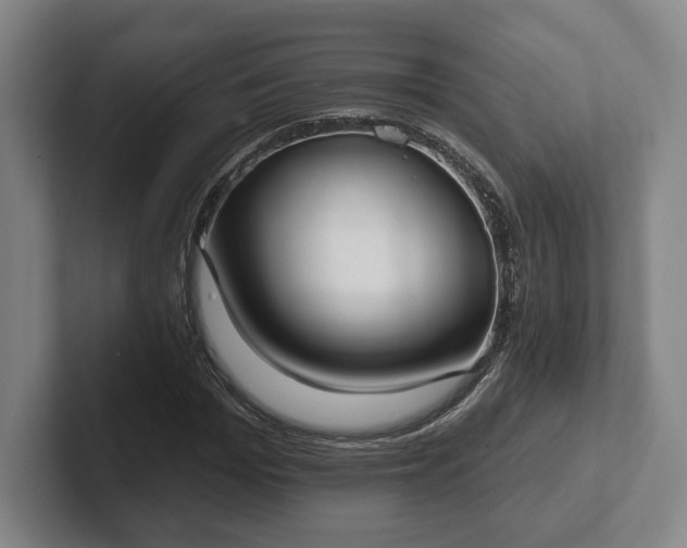 X0000102000969200807251243