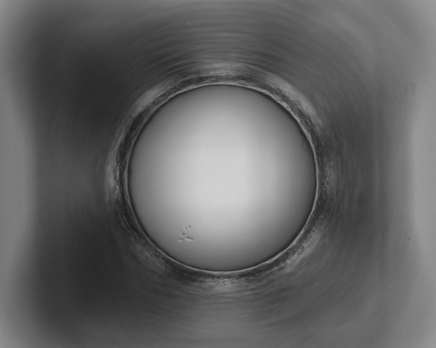 X0000102000970200807251243