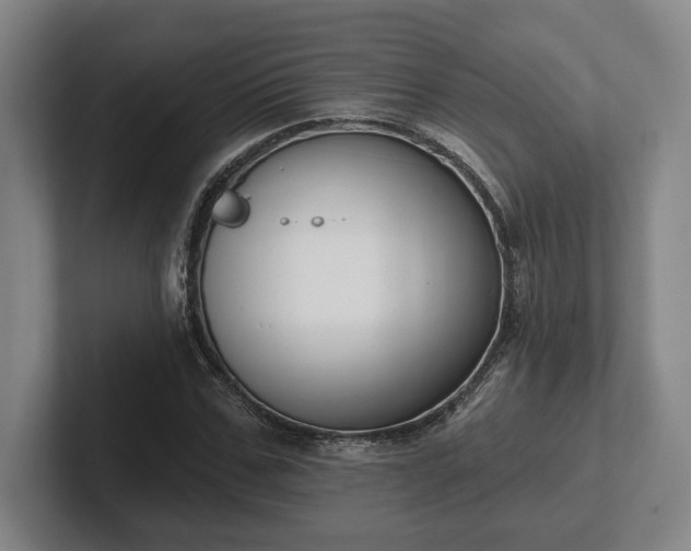 X0000102000971200807251243