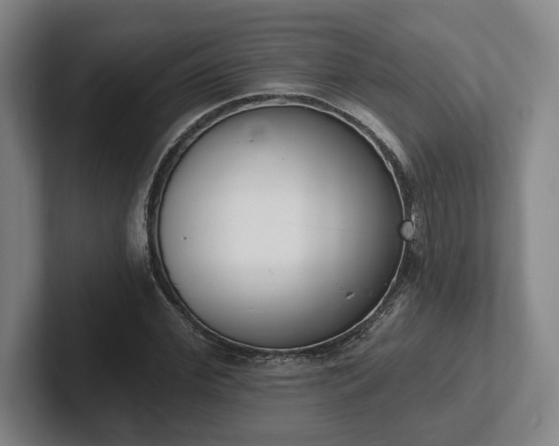 X0000102000972200807251243