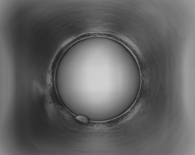 X0000102000974200807251243