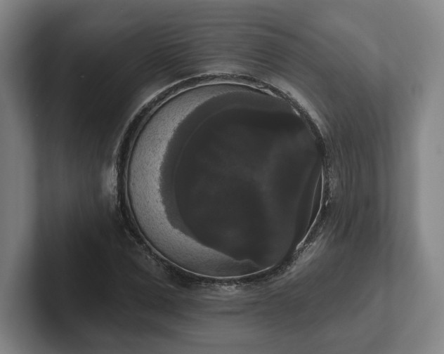 X0000102000975200807251243