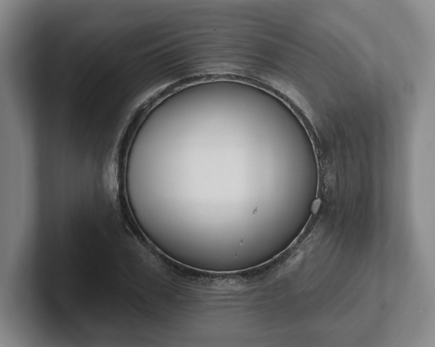 X0000102000979200807251242