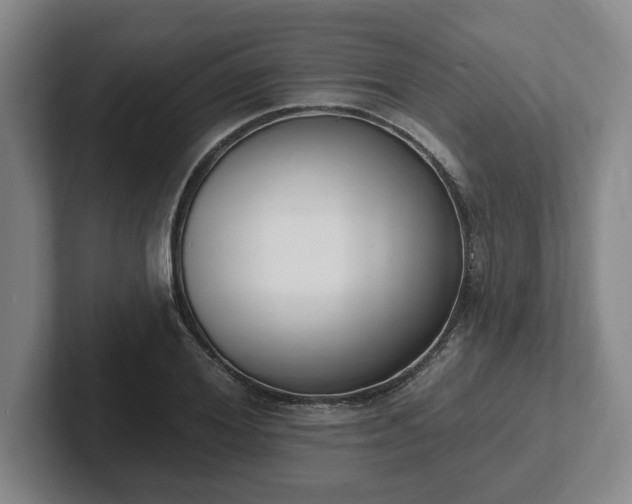 X0000102000980200807251242