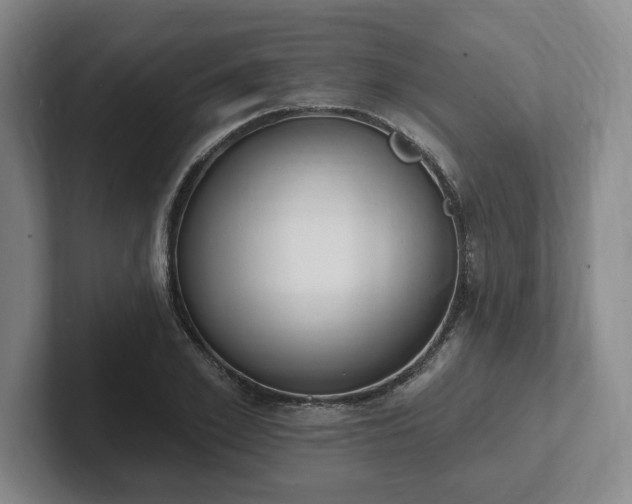 X0000102000981200807251242