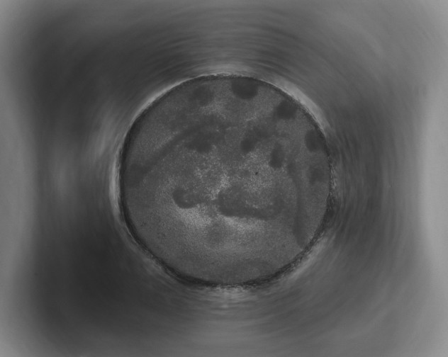 X0000102000983200807251242