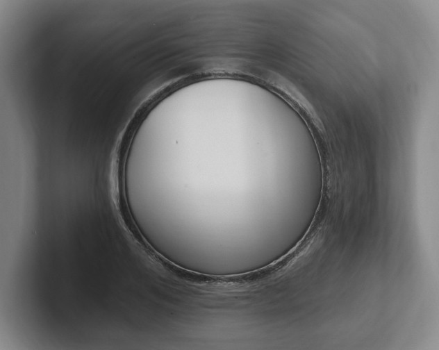 X0000102000984200807251242