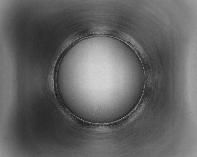 X0000102000986200807251242