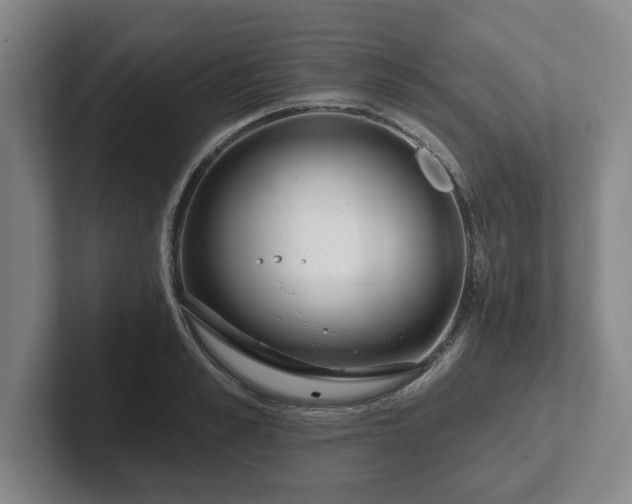 X0000102000989200807251242