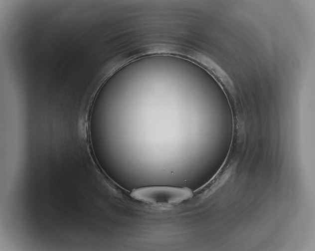 X0000102000993200807251242