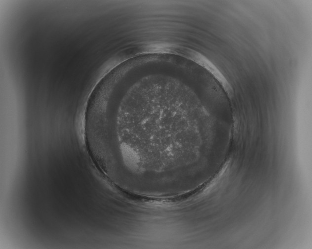 X0000102000994200807251242