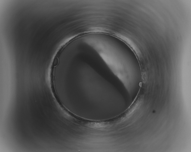 X0000102000995200807251242