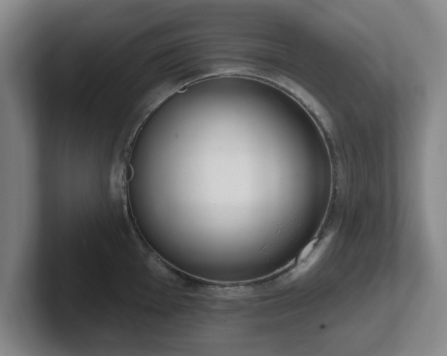 X0000102001001200807251242