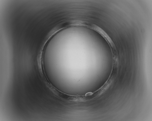 X0000102001002200807251242