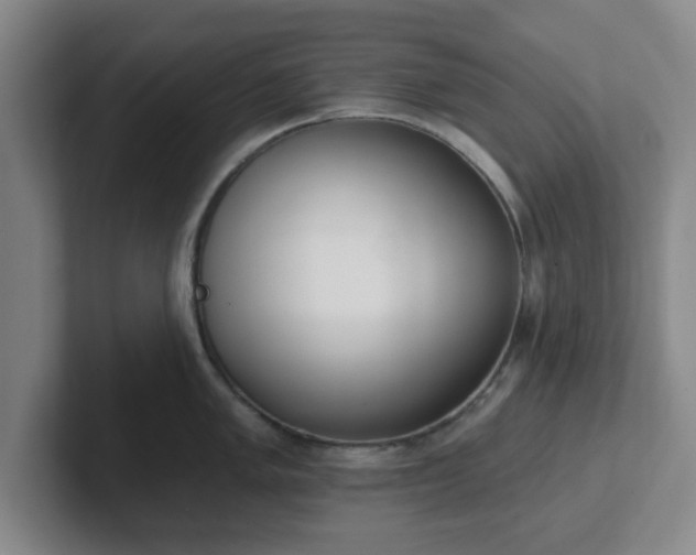 X0000102001005200807251242