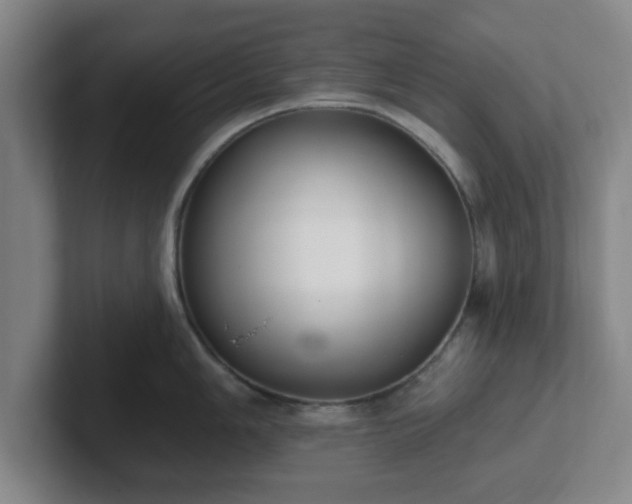 X0000102001006200807251242