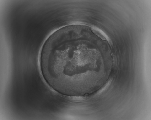 X0000102001007200807251242