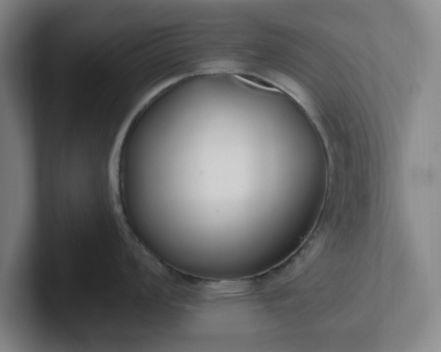 X0000102001008200807251242