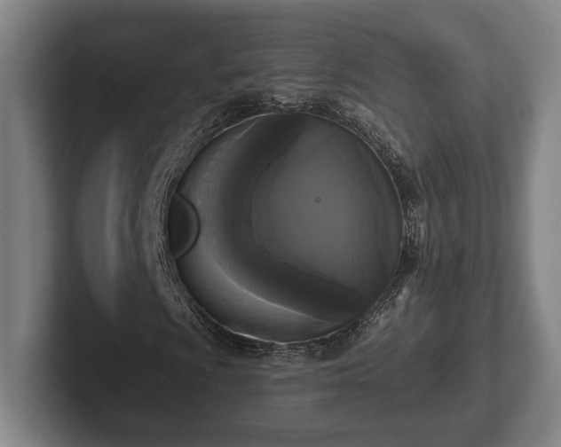 X0000102001009200807251241