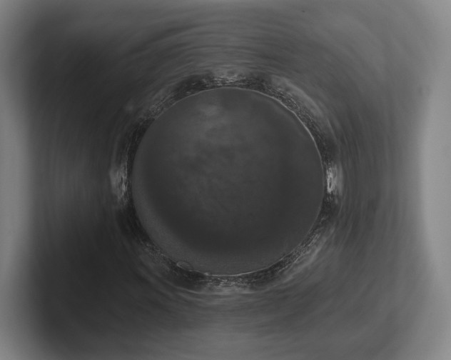 X0000102001011200807251241