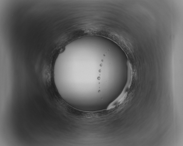 X0000102001012200807251242