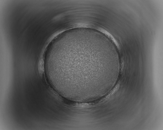 X0000102001019200807251242