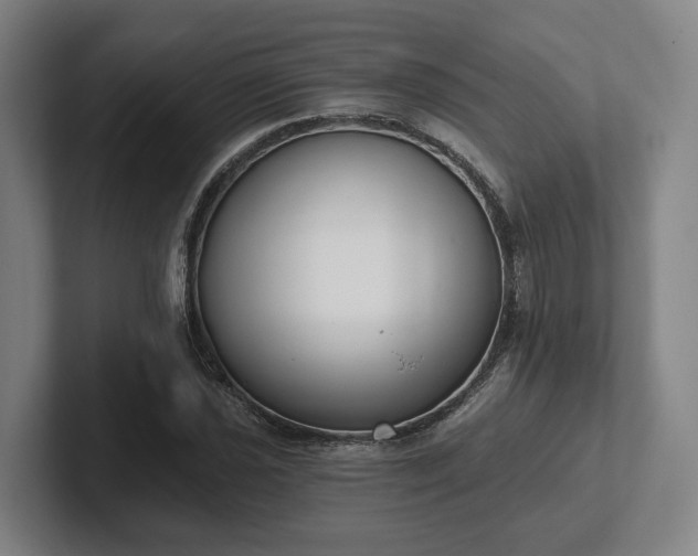 X0000102001021200807251242