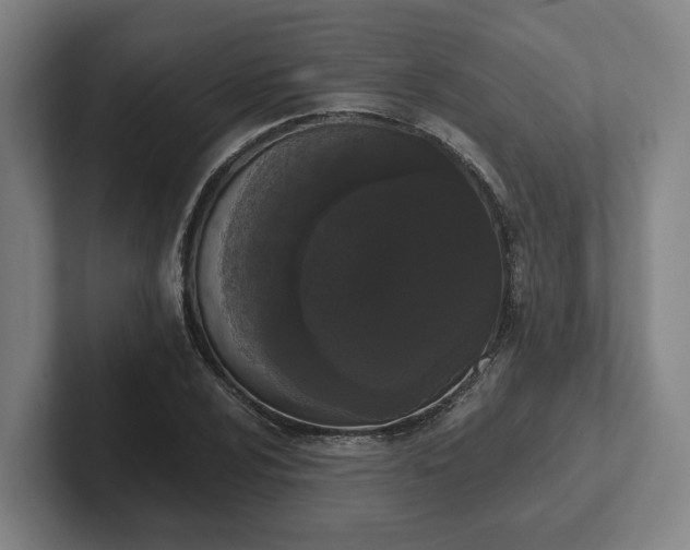 X0000102001024200807251242