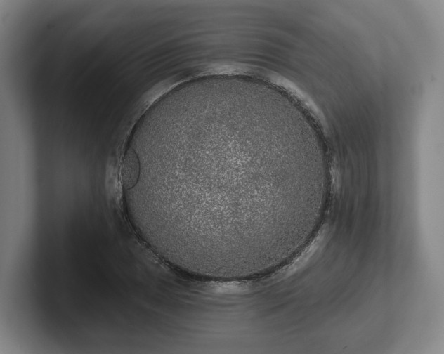 X0000102001025200807251242