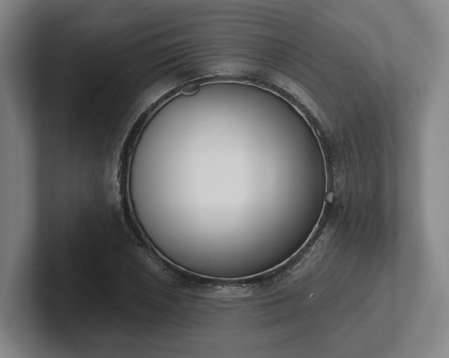 X0000102001026200807251242