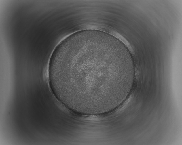 X0000102001028200807251242