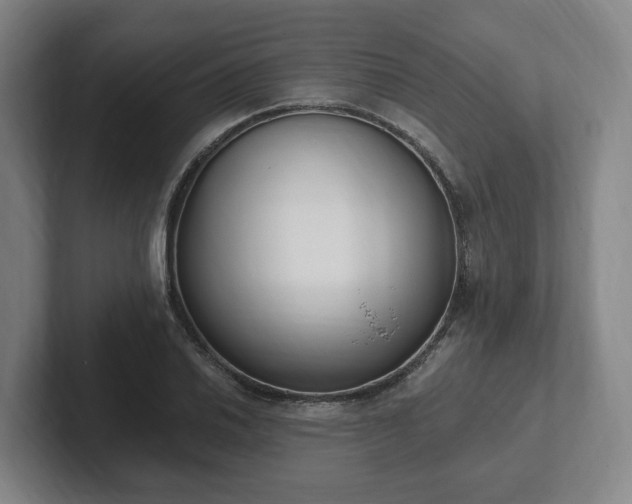 X0000102001030200807251242