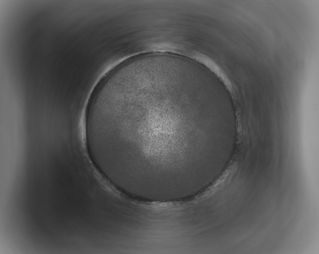 X0000102001032200807251242