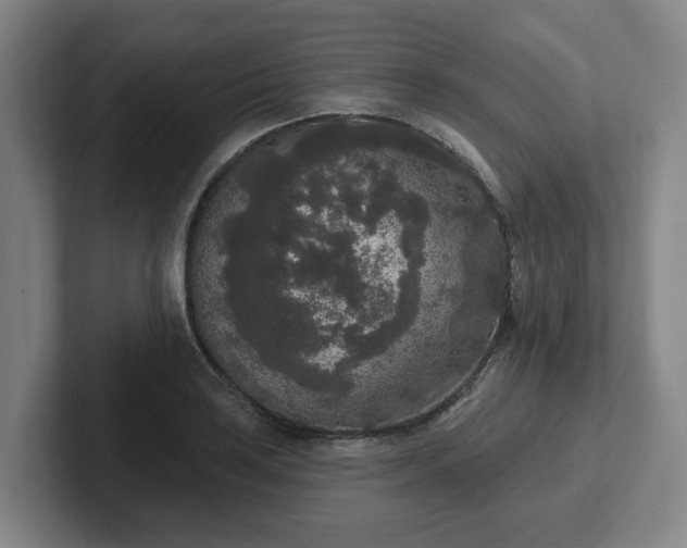 X0000102001035200807251242